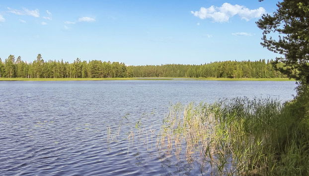 Kanervakallio - Foto 3, Inside other