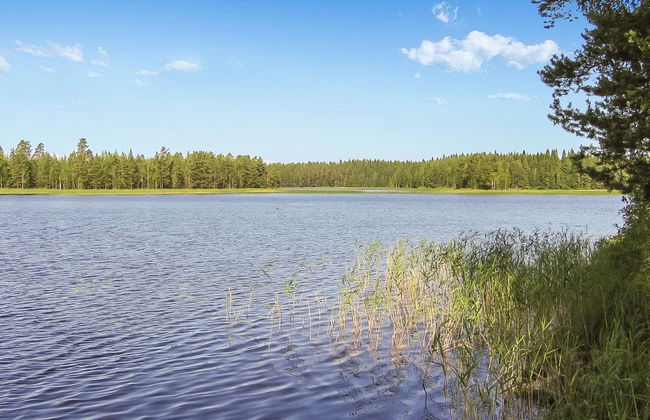 Kanervakallio - Foto 3