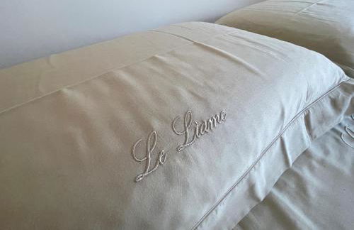 Le Liame Antico Trullo - Foto 11