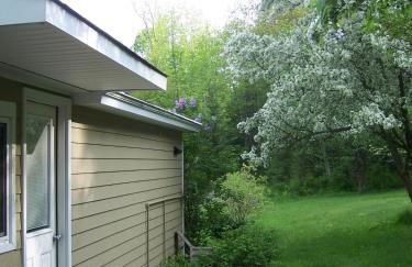 Secluded Cottage Rental in the Woods in Stony Creek, New York - Foto 13