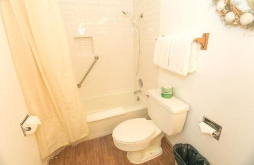 The Grey Gull - Foto 140