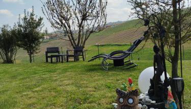 Aria Pura - Photo 4, Garden