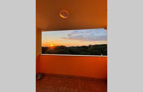 Résidence Baia delle Mimose - Foto 8