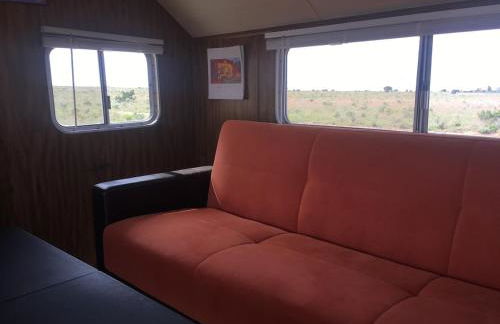 Stargazer, AC, Heat, Free firewood, ice cream, bottled water and smores - Foto 4