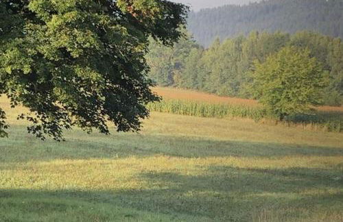 Ferienwohnung Sonnenhof - Foto 24