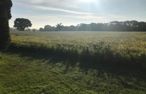 Secluded Log Cabin in beautiful private gardens - Foto 18