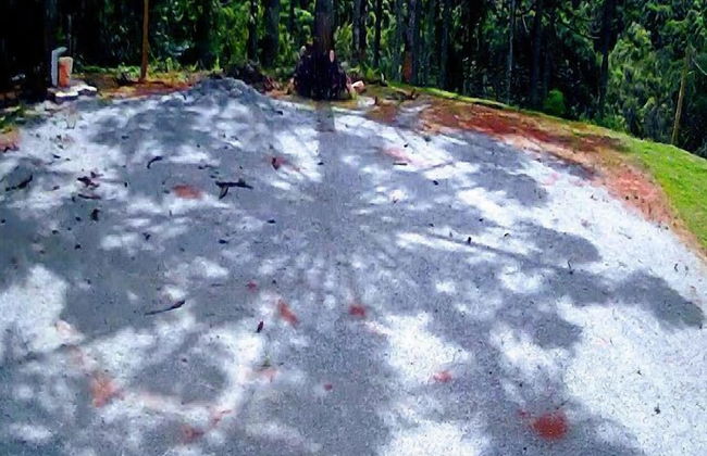 Sopro da Serra - Foto 18