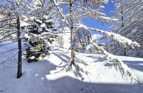 Résidence Roche De Fours - Appartement de charme . Chatelard · ski au pied MAE-1813 - Foto 17