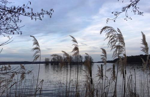 Ferienhaus Ahornallee - Foto 25