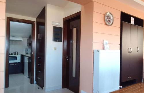 Sofita Di Sofo - Foto 25