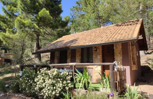 La cabaña del lago en ZAFIRO LAGUNAZO Parque Natural del Río Mundo - Foto 71