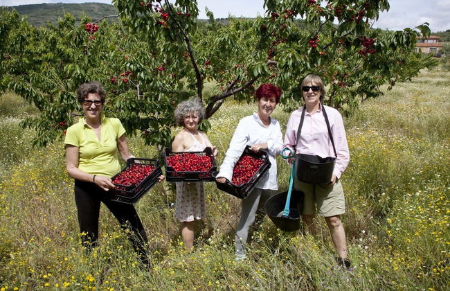 Casa Rural Las Fuentes de Ágata - Foto 29