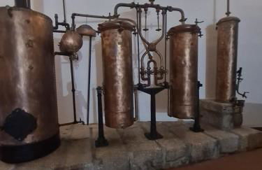 O Cantinho da Penetra AL - Foto 23