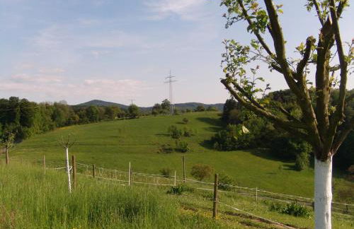 Ferienwohnung Mörlenbach - Foto 46