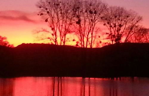 Auszeit mit Moselblick -klimatisiert- - Foto 27