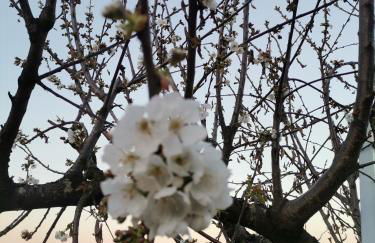 Quinta de Travassinhos- Douro Valley & Spa - Photo 54