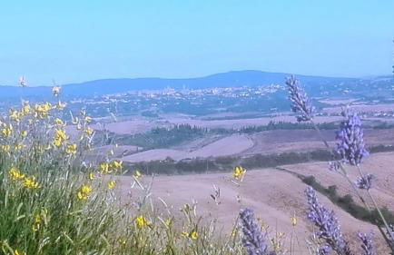 Agriturismo Le Crete - Appartamenti - Foto 20