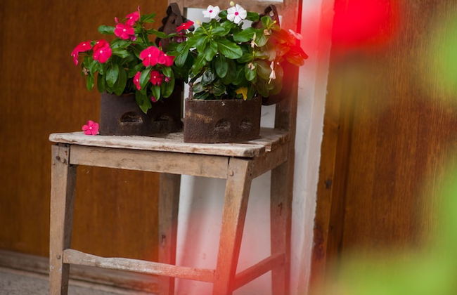 Country House Stara Kapela - Foto 47