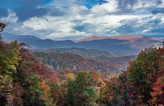 Cougar Crossing Vista - HotTub Pool View - Foto 70