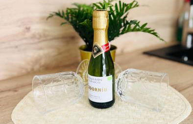 Golden Suite Plaza - Photo 7