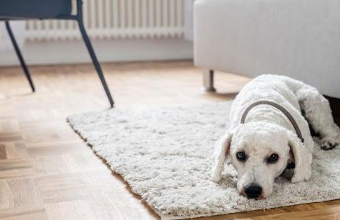 janu-homes - 3 Zimmer Apartment - 7 Betten, Lahnblick vom Rheinberg - Photo 47