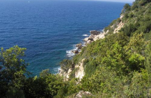 Cota Quinta - Foto 57