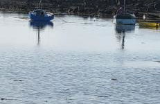 Reposant, Calme, Vue Mer imprenable à 2 m de l'eau, Petit Port Typique Breton - Foto 30