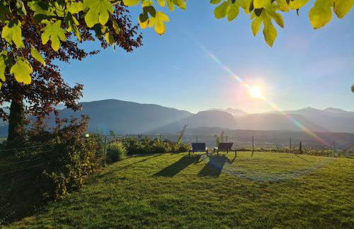 DAS MATSCHER Residence & Garden Hotel - Foto 39