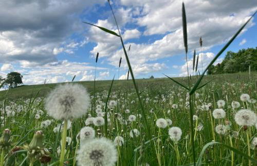 Erzgebirgshaus Zirbenliebe - Foto 53