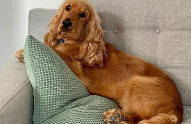 La Franqui Vue Mer Exceptionnel - Foto 38