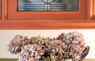 La Collina dei Conigli - immersi nella natura - Foto 11