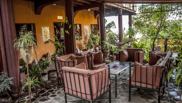 Terraço/pátio interior