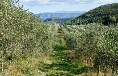 Masia Heredad La Boquilla - Foto 115