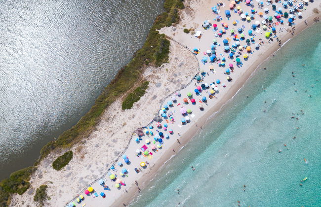 Mono 2 - Lu Nibareddu - Foto 19