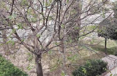 Del mar apartment, two bedrooms, beachfront - Foto 36