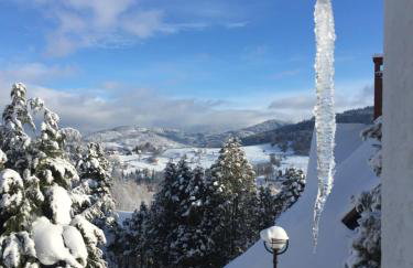 Cerla Korbielów - Foto 26