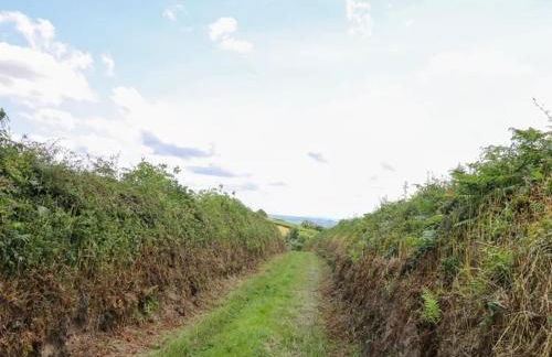2 bedroom holiday home in the heart of west wales - Photo 15