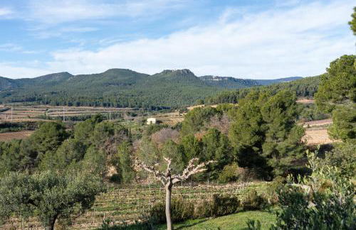 Can Cruset - Agroturisme - Foto 31