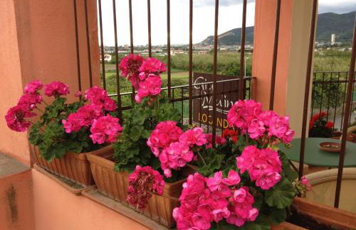 Giu al Mulino - Photo 30