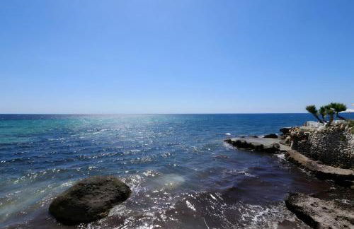 Sembat de Mar - Foto 35