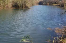 RichMarHome - Foto 62