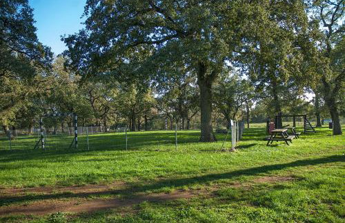 Villa Paolija - Foto 50