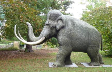 Ferienwohnung & Apartment Kunsthaus Panorama mit Balkon - Photo 20