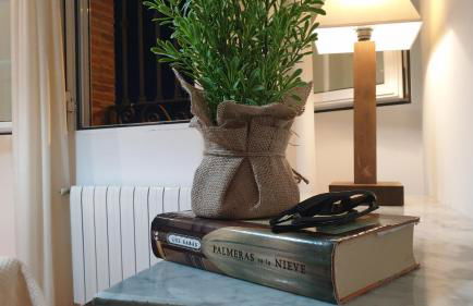 Gran apartamento CON JARDIN a 55 min de Madrid wifi free aparca en la puerta - Foto 18