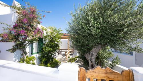 Charming House Platy Gialos - Foto 2, Garden view