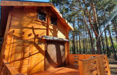 Domki Gromadka - Foto 41