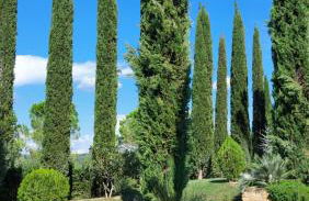 Tenuta Tegolato - Foto 106