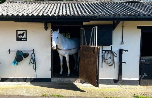 Byre - Farm Cottage on 9 acre Equestrian Small Holding - Photo 22