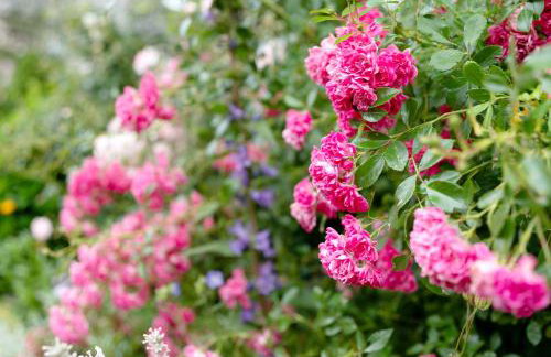 Untermetzgersbauernhof - Foto 36