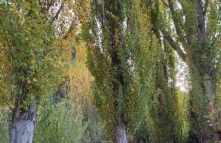 Mi casica de Bogarra - Foto 18